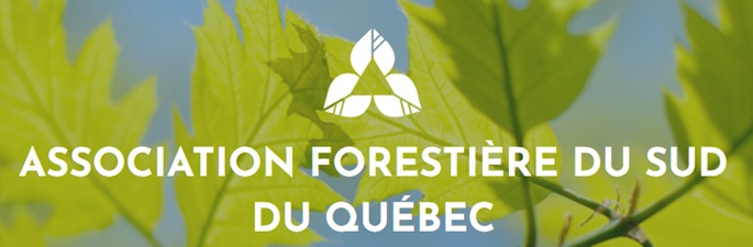 Logo AFSQ