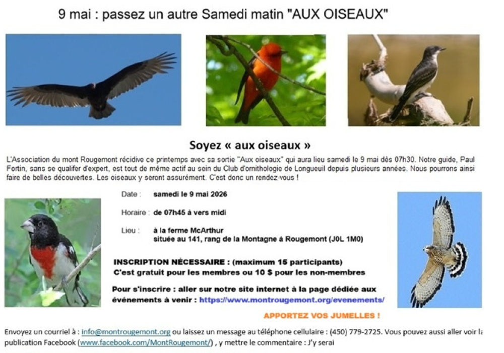 Un samedi matin "aux oiseaux" (9 mai 2026)