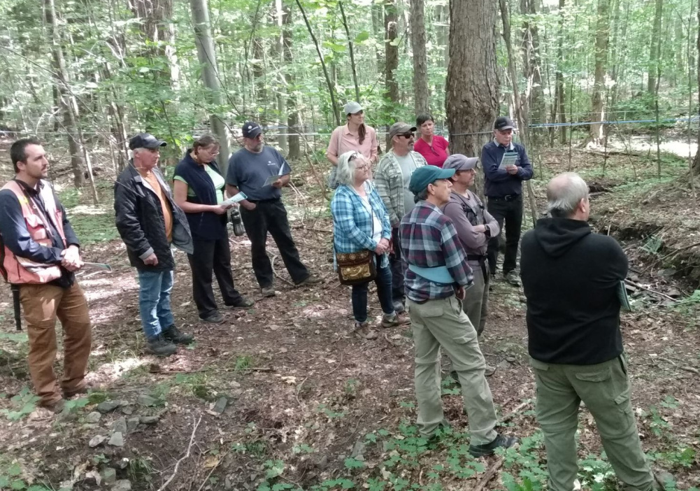 Visite forestière gratuite