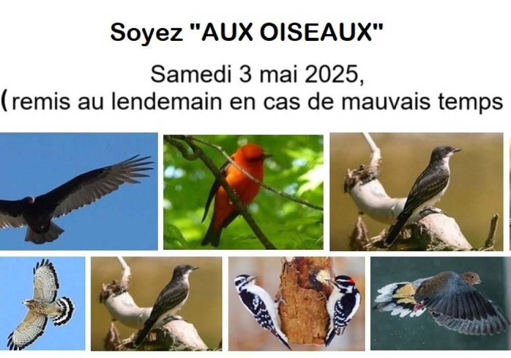 Un samedi matin 