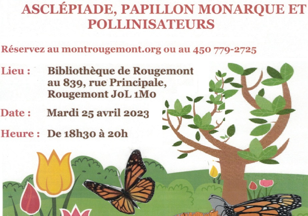 Asclépiade, papillon monarque et pollinisateurs (Rougemont)