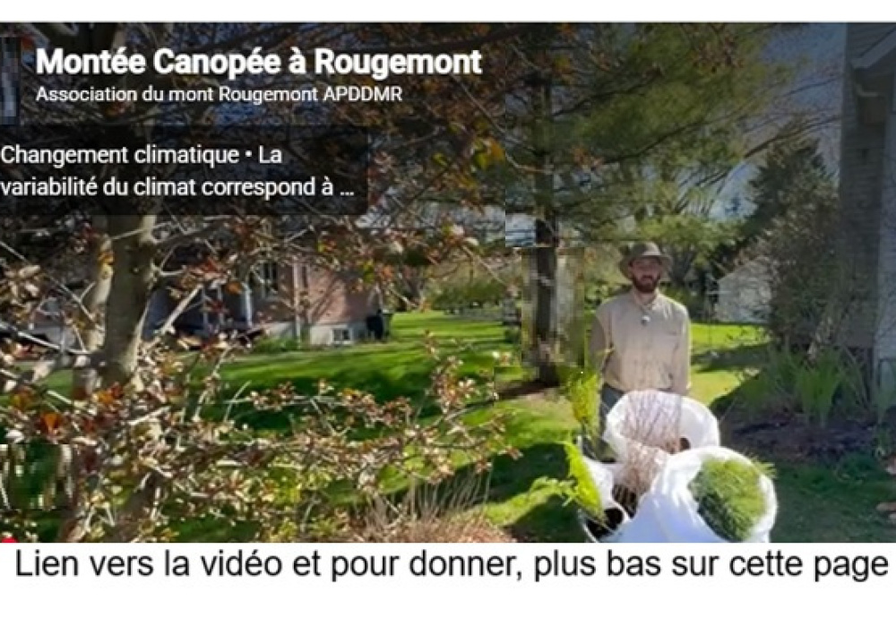 Projet Mont&eacute;e Canop&eacute;e : lancement d&rsquo;une Campagne de financement