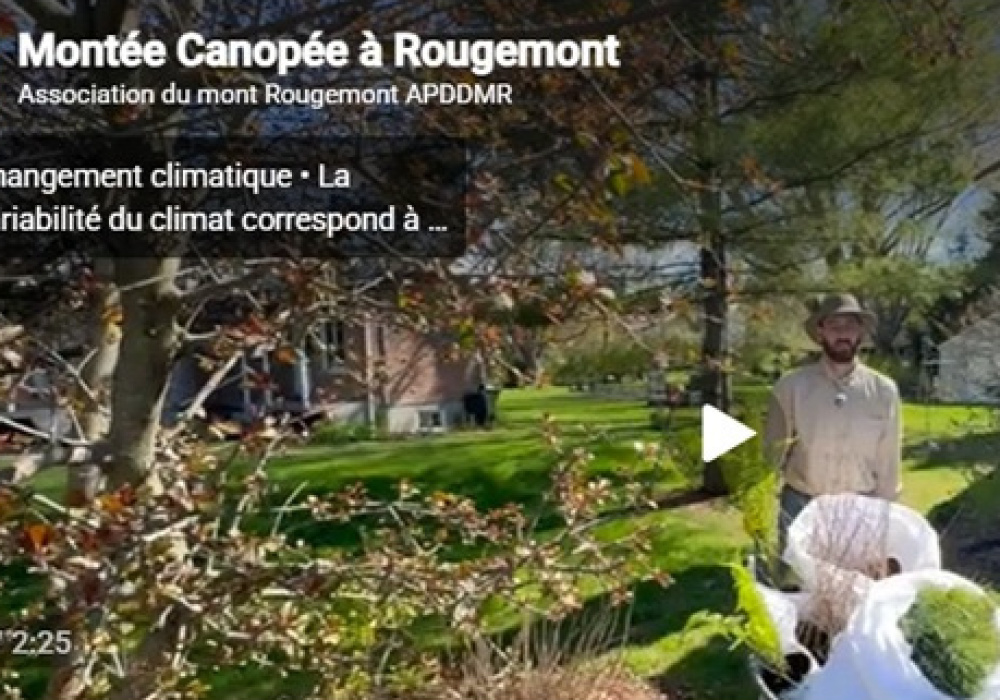 Projet Montée Canopée : lancement d’une Campagne de financement