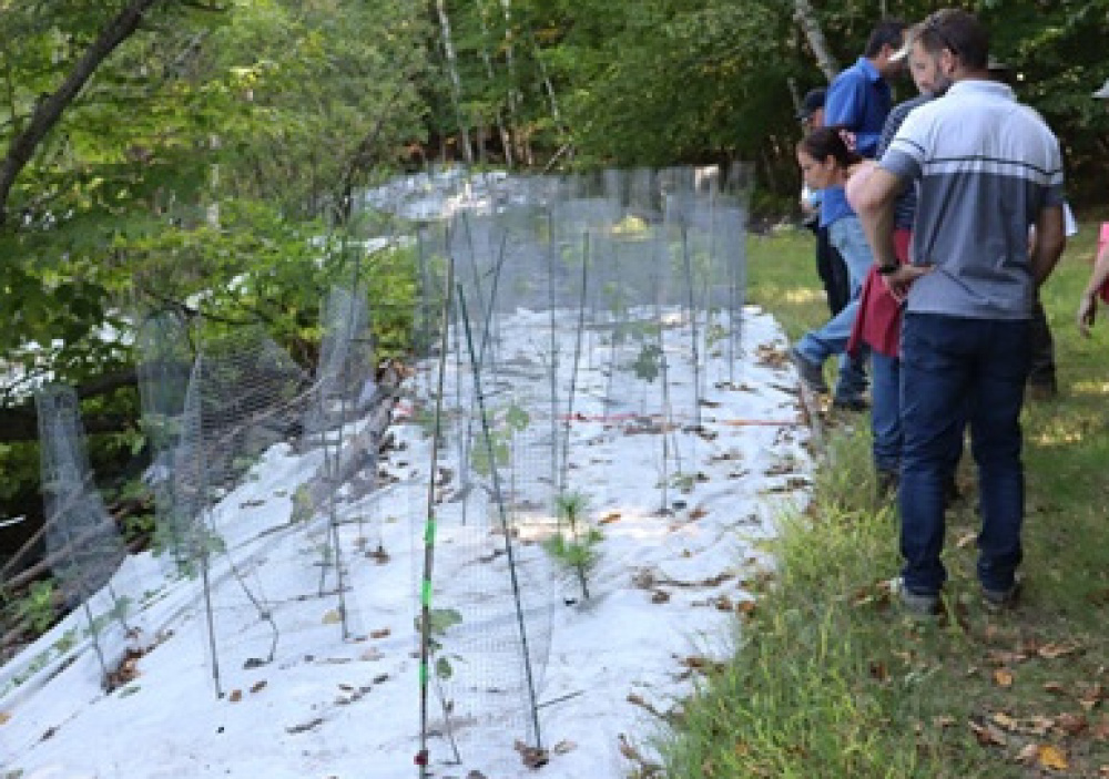 Nouveau coordonnateur et bulletin l’Écho de la Montagne, édition Octobre 2025