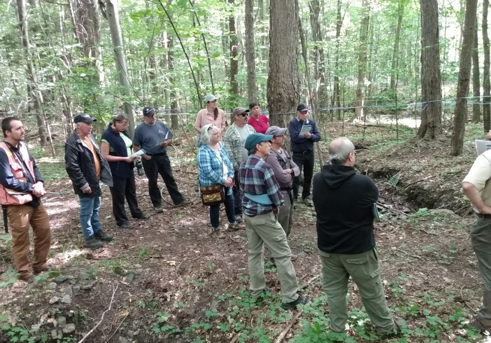 Deux belles visites foresti&egrave;res